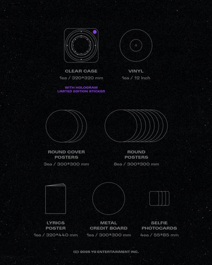 2NE1 - [15th ANNIVERSARY BEST] LP KAEPJJANG SHOP (캡짱 숍)