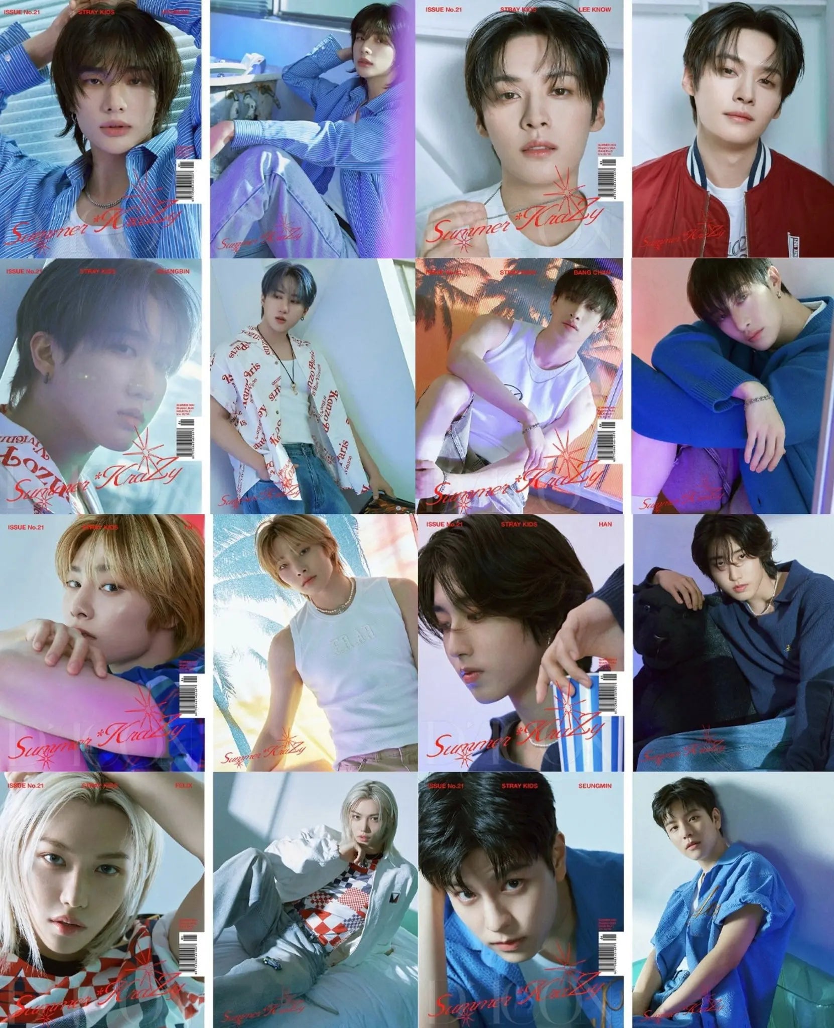 [PRE ORDER] DICON VOLUME N°21 [STRAY KIDS : SECRET STRAY KIDS] (TYPE A.) - KAEPJJANG SHOP (캡짱 숍)