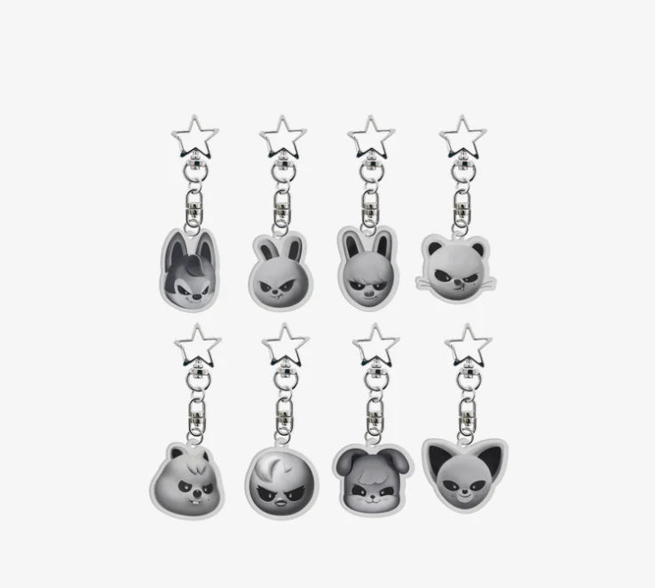 STRAY KIDS - [Everywhere All Around The World] (Official MD)  SKZOO ACRYLIC EVIL KAEPJJANG SHOP (캡짱 숍)