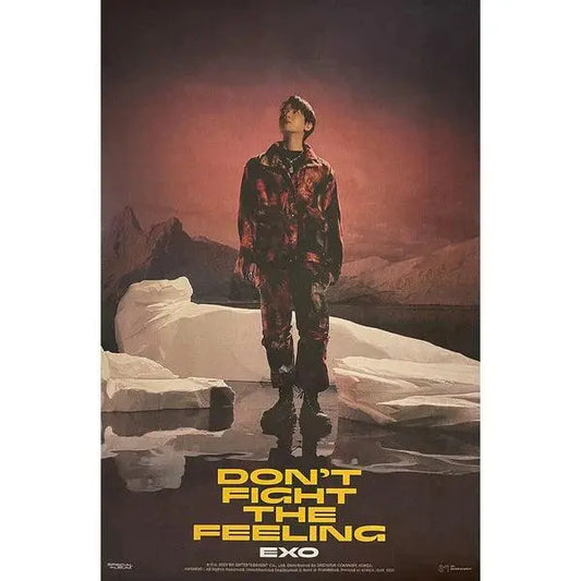 [POSTER] EXO - DON'T FIGHT THE FEELING (BAEKHYUN VERS.) - KAEPJJANG SHOP (캡짱 숍)