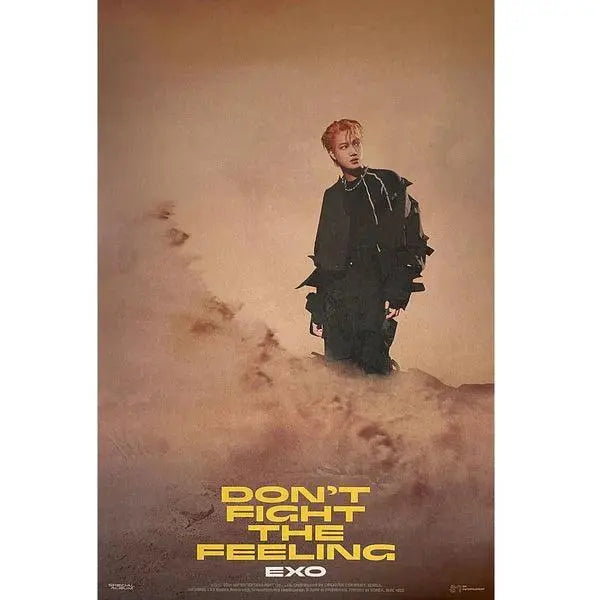 [POSTER] EXO - DON'T FIGHT THE FEELING (KAI VERS.) - KAEPJJANG SHOP (캡짱 숍)