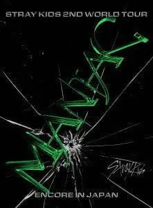 K-POP・アジア STRAYKIDS WORLD TOUR MANIAC IN JAPAN DVD Amazon: 2nd World Tour-Maniac: Encore in Japan-Region A [Blu