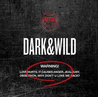 BTS - Album Vol.1 [DARK&WILD] - KAEPJJANG SHOP (캡짱 숍)