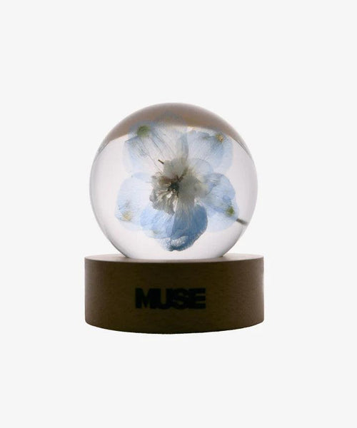 JIMIN -SMERALDO GARDEN MUSE (Official MD)/ PAPER WEIGHT