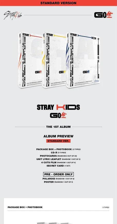 Stray Kids Album Vol. 1 (Repackage) - IN生 (Standard Ver