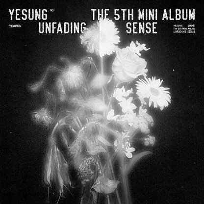 YESUNG - Mini Album Vol.05 [UNFADING SENSE] (Special Version) - KAEPJJANG SHOP (캡짱 숍)