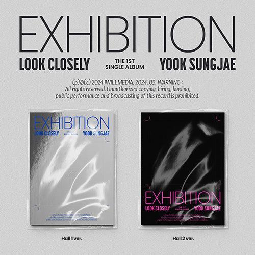 YOOK SUNGJAE - [EXHIBITION : Look Closely] - KAEPJJANG SHOP (캡짱 숍)