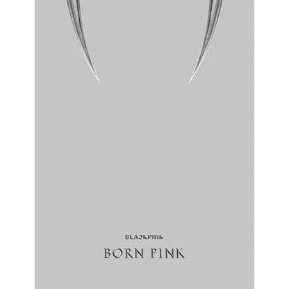 BLACKPINK - Album Vol.2 [BORN PINK] (Box Vers.) - KAEPJJANG SHOP (캡짱 숍)