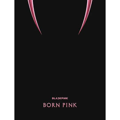 BLACKPINK - Album Vol.2 [BORN PINK] (Box Vers.) - KAEPJJANG SHOP (캡짱 숍)
